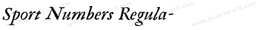 Sport Numbers Regula字体转换